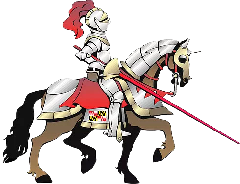 Home White Knight Carpet Cleaning caballero - Home White Knight Carpet Cleaning