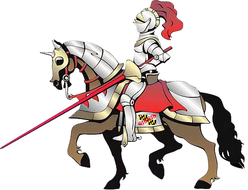 Home White Knight Carpet Cleaning caballero2 - Home White Knight Carpet Cleaning
